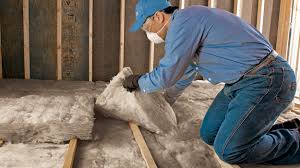 Best Radiant Barrier Insulation  in Rancho San Diego, CA