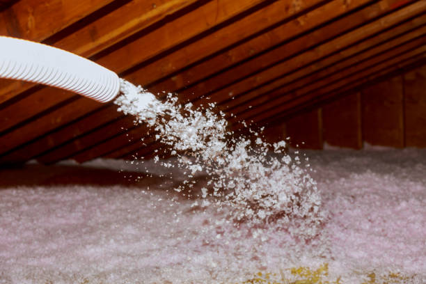 Best Insulation Air Sealing  in Rancho San Diego, CA