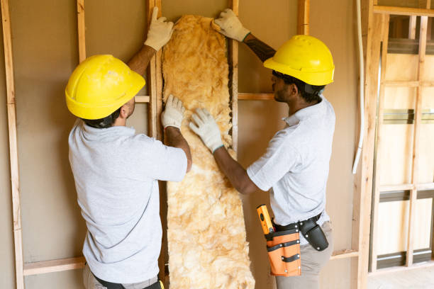 Best Reflective Insulation  in Rancho San Diego, CA