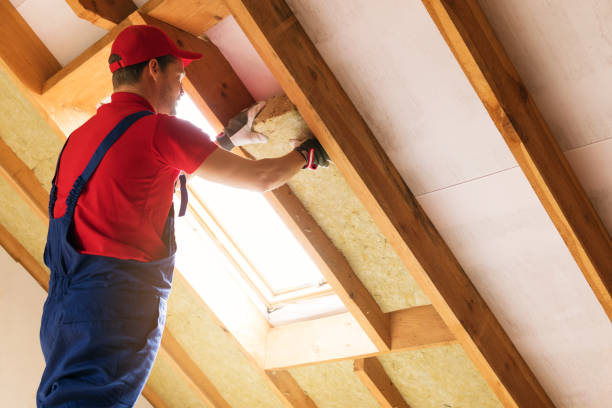 Best Wall Insulation Installation  in Rancho San Diego, CA